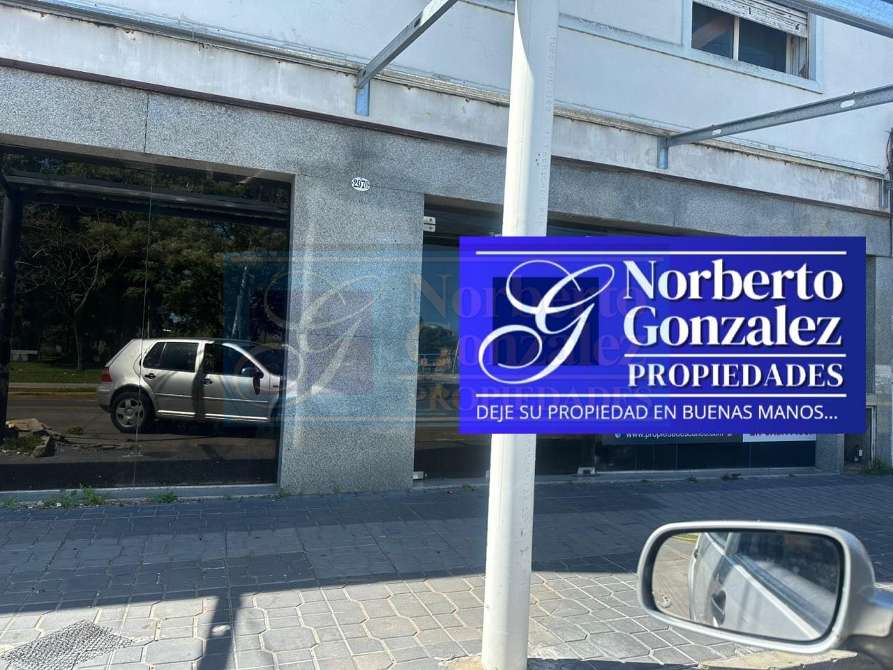 LOCALMARTÍN CORONADO