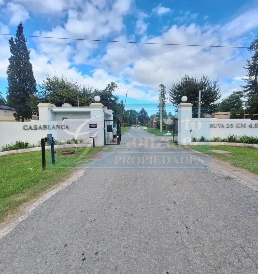 LOTE/TERRENOPILAR