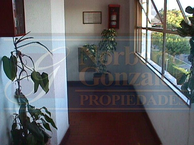 DEPARTAMENTOMARTÍN CORONADO